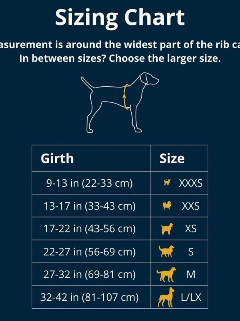 Ruffwear Appenglow Pink Harness xxxs 🩷 - Picture 5 of 6